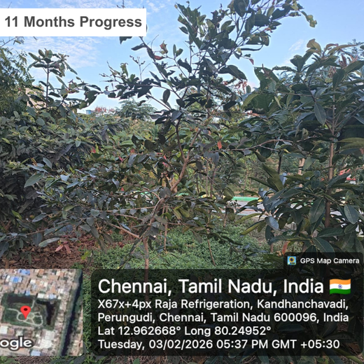 Eco-Innovation in Action: Kaleris Plants for a Greener Future – 2 years