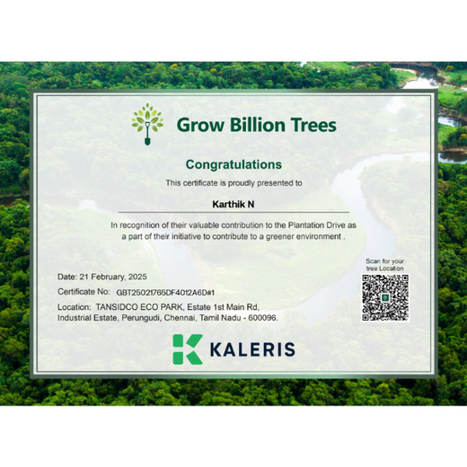 Eco-Innovation in Action: Kaleris Plants for a Greener Future – Planting