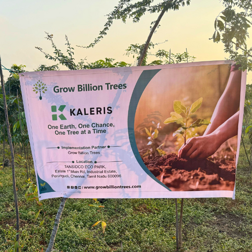 Eco-Innovation in Action: Kaleris Plants for a Greener Future – Planting