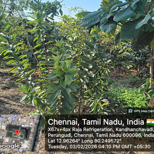Eco-Innovation in Action: Kaleris Plants for a Greener Future – 2 years