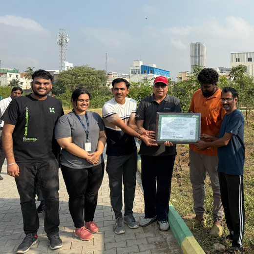 Eco-Innovation in Action: Kaleris Plants for a Greener Future – Planting