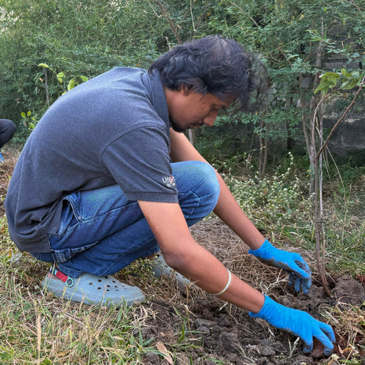 Eco-Innovation in Action: Kaleris Plants for a Greener Future – Planting