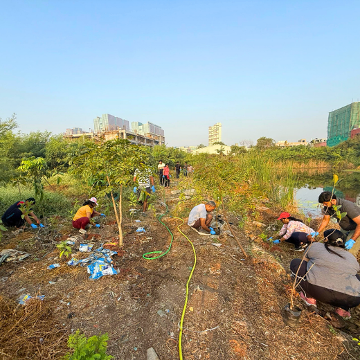 Eco-Innovation in Action: Kaleris Plants for a Greener Future – Planting