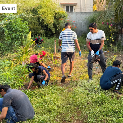 Eco-Innovation in Action: Kaleris Plants for a Greener Future – Planting