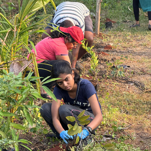 Eco-Innovation in Action: Kaleris Plants for a Greener Future – Planting