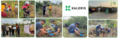 Eco-Innovation in Action: Kaleris Plants for a Greener Future