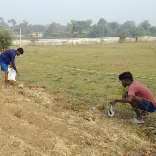 Silox India Miyawaki Tree Plantation School Initiative: Growing Green Futures – Planting