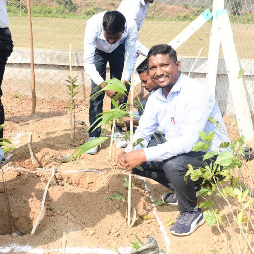 Silox India Miyawaki Tree Plantation School Initiative: Growing Green Futures – 6 months