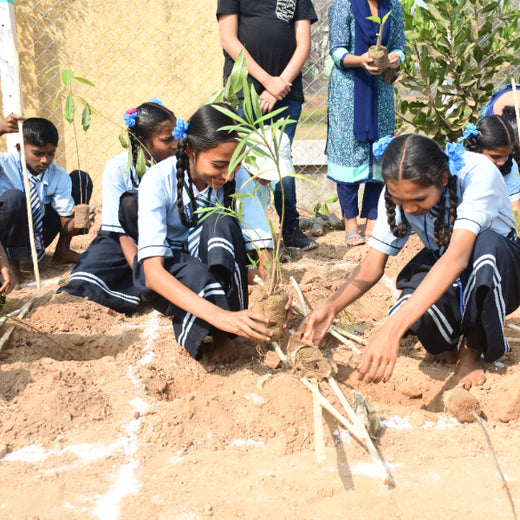 Silox India Miyawaki Tree Plantation School Initiative: Growing Green Futures – 6 months