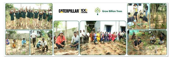 Caterpillar's Legacy: A Thriving Learning forest in Kilambakkam