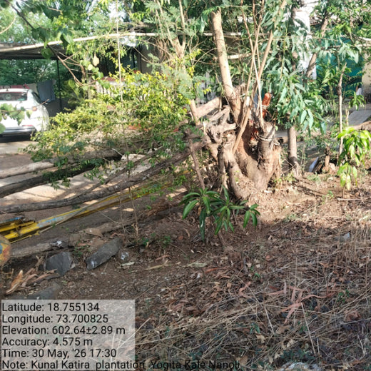 Planting Prosperity: Kunal Katira's Agroforest Initiative for Sustainability – Planting