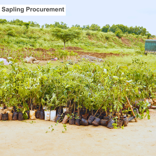 Delivering Sustainability: KWE's Eco-Conscious CSR Journey – Planting