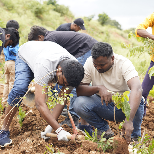 Delivering Sustainability: KWE's Eco-Conscious CSR Journey – 6 months