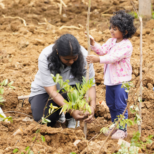 Delivering Sustainability: KWE's Eco-Conscious CSR Journey – 6 months