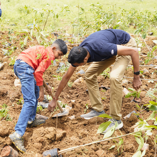 Delivering Sustainability: KWE's Eco-Conscious CSR Journey – 6 months
