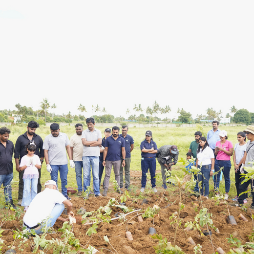 Delivering Sustainability: KWE's Eco-Conscious CSR Journey – 6 months