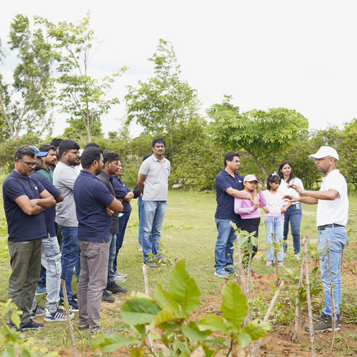 Delivering Sustainability: KWE's Eco-Conscious CSR Journey – 6 months