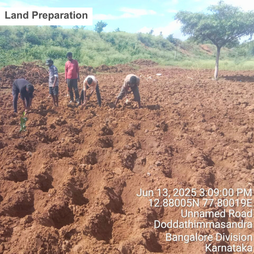 Delivering Sustainability: KWE's Eco-Conscious CSR Journey – Planting