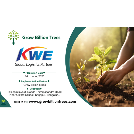 Delivering Sustainability: KWE's Eco-Conscious CSR Journey – 6 months