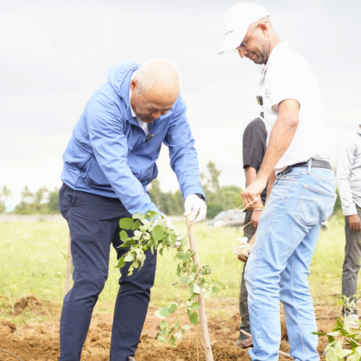 Delivering Sustainability: KWE's Eco-Conscious CSR Journey – 6 months