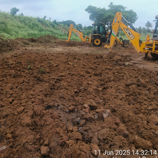 Delivering Sustainability: KWE's Eco-Conscious CSR Journey – Planting