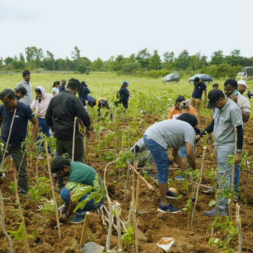 Delivering Sustainability: KWE's Eco-Conscious CSR Journey – 6 months