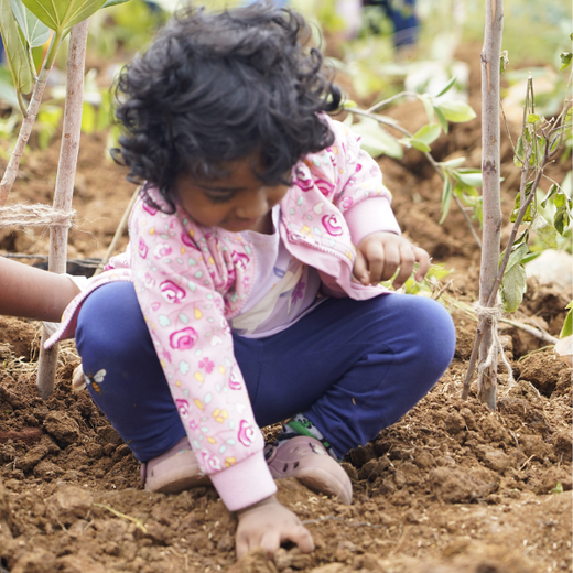Delivering Sustainability: KWE's Eco-Conscious CSR Journey – 6 months