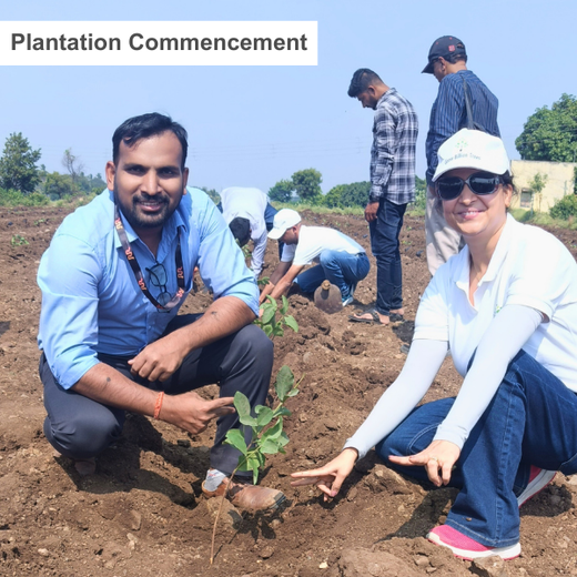 LIFT Team's Green Diwali Initiative: Planting Trees for Sustainability – 6 months