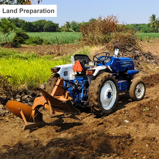 LIFT Team's Green Diwali Initiative: Planting Trees for Sustainability – Planting
