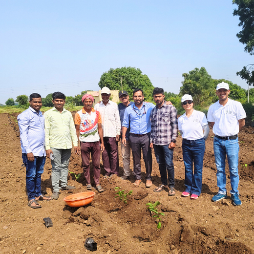 LIFT Team's Green Diwali Initiative: Planting Trees for Sustainability – 6 months