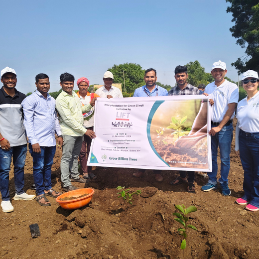 LIFT Team's Green Diwali Initiative: Planting Trees for Sustainability – 6 months