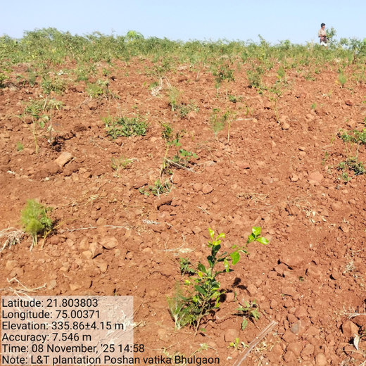 Seeds of Change: L&T Community Forest for Environmental Resilience – 6 months