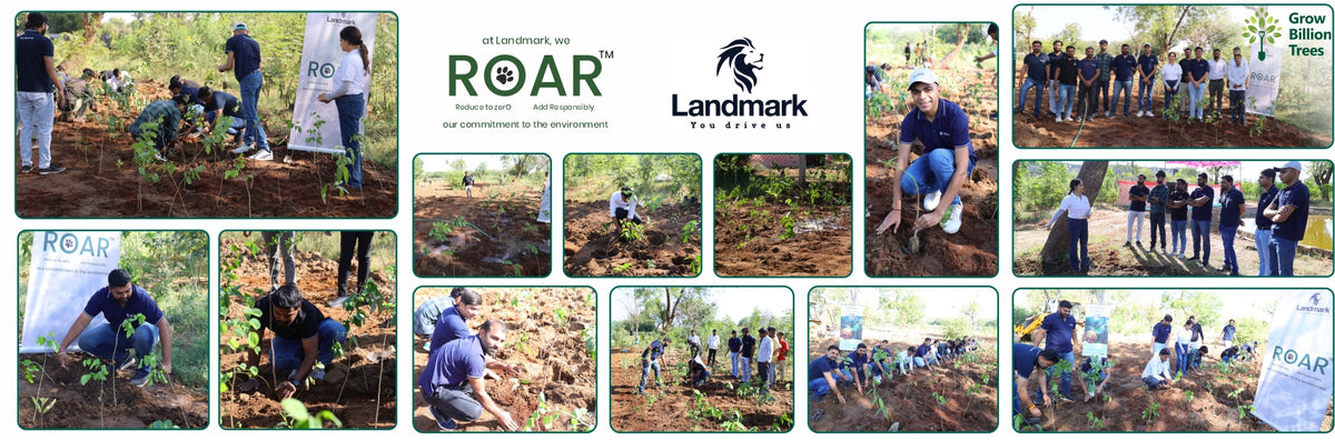 Group Landmark’s ROAR (Reduce to Zero, Add Responsibly) Initiative: Accelerating Urban Greening with Miyawaki Forests