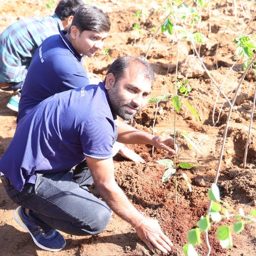 Group Landmark’s ROAR (Reduce to Zero, Add Responsibly) Initiative: Accelerating Urban Greening with Miyawaki Forests – Planting