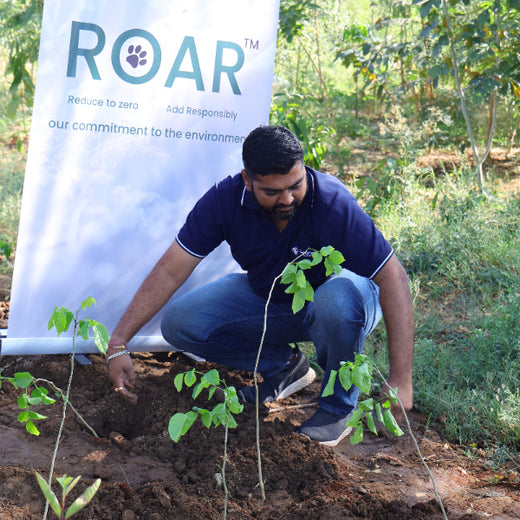 Group Landmark’s ROAR (Reduce to Zero, Add Responsibly) Initiative: Accelerating Urban Greening with Miyawaki Forests – Planting