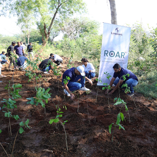 Group Landmark’s ROAR (Reduce to Zero, Add Responsibly) Initiative: Accelerating Urban Greening with Miyawaki Forests – Planting