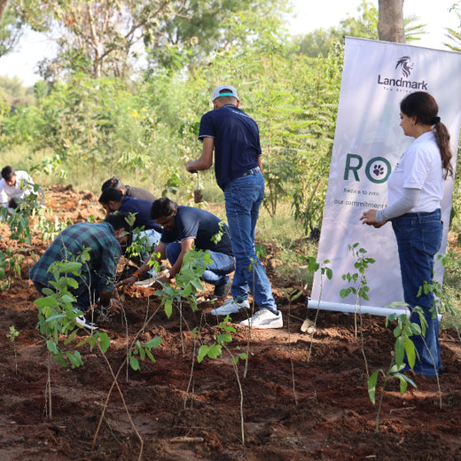 Group Landmark’s ROAR (Reduce to Zero, Add Responsibly) Initiative: Accelerating Urban Greening with Miyawaki Forests – Planting