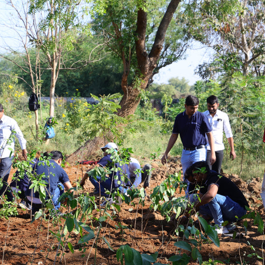 Group Landmark’s ROAR (Reduce to Zero, Add Responsibly) Initiative: Accelerating Urban Greening with Miyawaki Forests – Planting