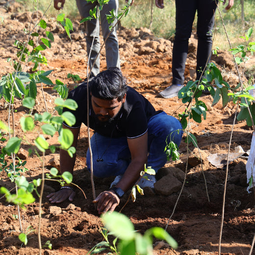 Group Landmark’s ROAR (Reduce to Zero, Add Responsibly) Initiative: Accelerating Urban Greening with Miyawaki Forests – Planting