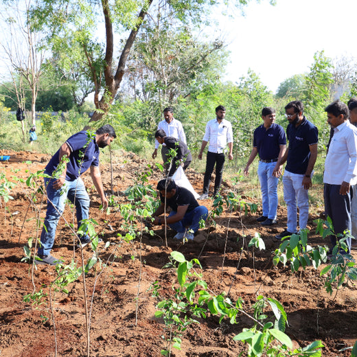 Group Landmark’s ROAR (Reduce to Zero, Add Responsibly) Initiative: Accelerating Urban Greening with Miyawaki Forests – Planting