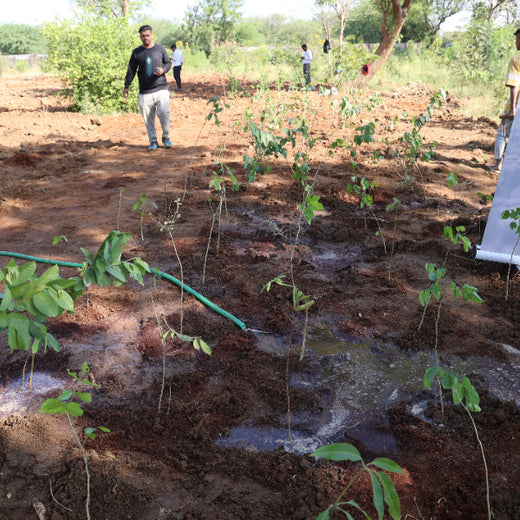 Group Landmark’s ROAR (Reduce to Zero, Add Responsibly) Initiative: Accelerating Urban Greening with Miyawaki Forests – Planting