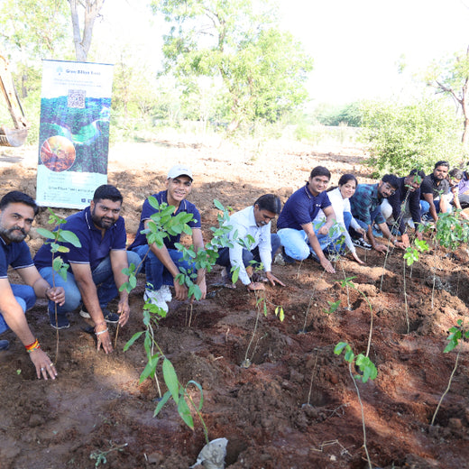 Group Landmark’s ROAR (Reduce to Zero, Add Responsibly) Initiative: Accelerating Urban Greening with Miyawaki Forests – Planting