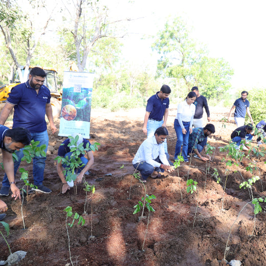 Group Landmark’s ROAR (Reduce to Zero, Add Responsibly) Initiative: Accelerating Urban Greening with Miyawaki Forests – Planting