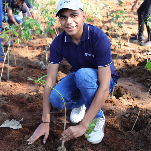 Group Landmark’s ROAR (Reduce to Zero, Add Responsibly) Initiative: Accelerating Urban Greening with Miyawaki Forests – Planting