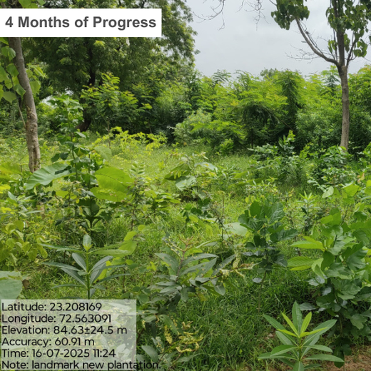 Group Landmark’s ROAR (Reduce to Zero, Add Responsibly) Initiative: Accelerating Urban Greening with Miyawaki Forests – 6 months