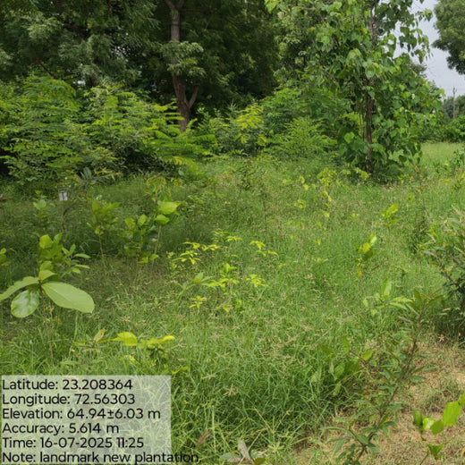 Group Landmark’s ROAR (Reduce to Zero, Add Responsibly) Initiative: Accelerating Urban Greening with Miyawaki Forests – 6 months