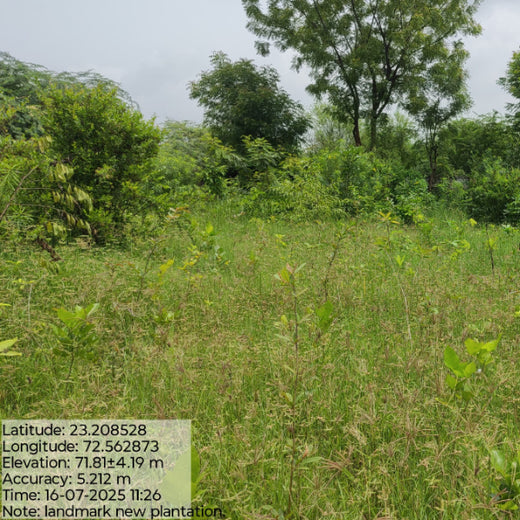 Group Landmark’s ROAR (Reduce to Zero, Add Responsibly) Initiative: Accelerating Urban Greening with Miyawaki Forests – 6 months