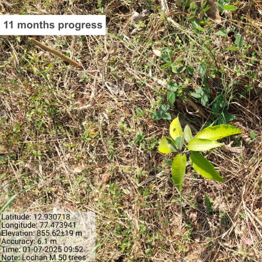 Mr. Lochan M. Leads the Way: A Green Birthday Celebration in Bangalore – 6 months