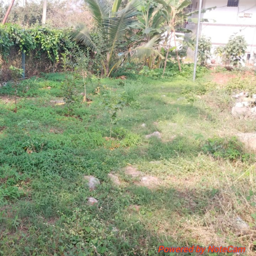 Mr. Lochan M. Leads the Way: A Green Birthday Celebration in Bangalore – 6 months
