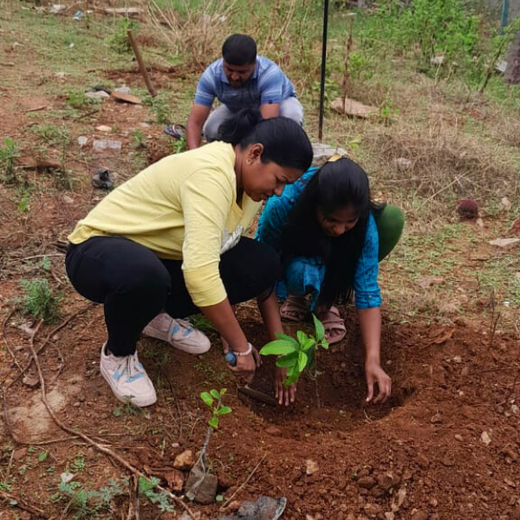 Mr. Lochan M. Leads the Way: A Green Birthday Celebration in Bangalore – Planting